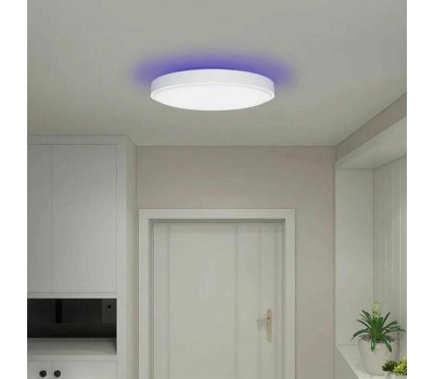 YEELIGHT Умный потолочный светильник Arwen Ceiling Light 450S YLXD013