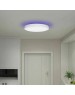 YEELIGHT Умный потолочный светильник Arwen Ceiling Light 450S YLXD013