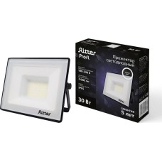 Прожектор светодиодный RITTER 53416 1 PROFI 30 Вт 4000К черный