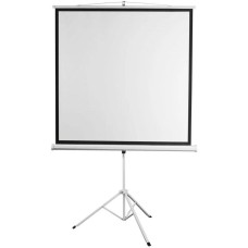 Экран DIGIS Экран Kontur-D DSKD-4304, 248х189 см, 4:3, напольный