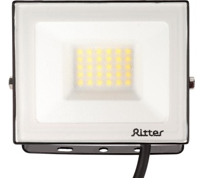 Прожектор светодиодный RITTER 53416 1 PROFI 30 Вт 4000К черный