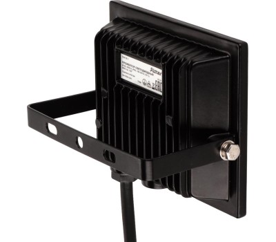 Прожектор светодиодный RITTER 53416 1 PROFI 30 Вт 4000К черный