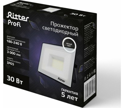 Прожектор светодиодный RITTER 53416 1 PROFI 30 Вт 4000К черный