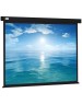 Экраны CACTUS Экран Wallscreen CS-PSW-213X213-BK, 213х213 см, 1:1, настенно-потолочный черный