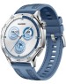 Смарт-часы HUAWEI Смарт-часы Watch GT 5 Vili-B19W, 1.43
