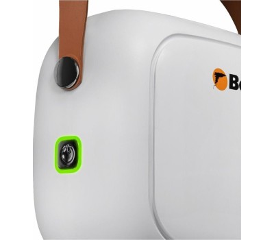 Пароочиститель BORT BDR-3000-RR