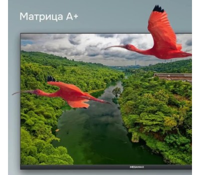 Телевизор MEGAMAX 43MG11FSM FHD SMART TV Android Безрамочный