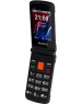 Телефон мобильный MAXVI E10ds Orange