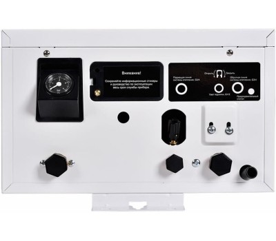 Котел электрический THERMEX Boss 12 Wi-Fi (White) ЭдЭБ05052