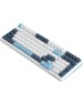 A4TECH Клавиатура Fstyler FS300 механическая белый/синий USB for gamer LED (FS300 PANDA SNOWBOARDING)
