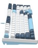 A4TECH Клавиатура Fstyler FS300 механическая белый/синий USB for gamer LED (FS300 PANDA SNOWBOARDING)