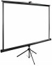 Экраны CACTUS Экран TriExpert CS-PSTE-200x150-BK, 200х150 см, 4:3, напольный черный