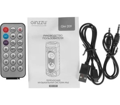 Мидисистема GINZZU GM-209