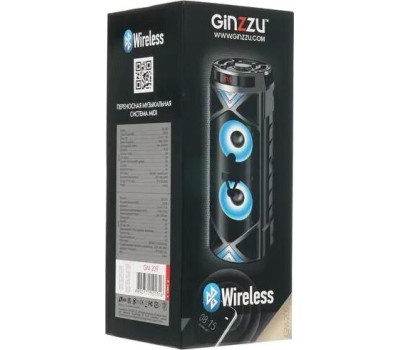 Мидисистема GINZZU GM-209