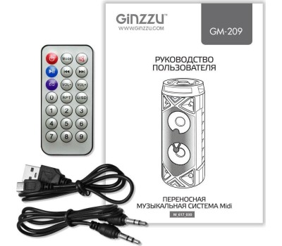 Мидисистема GINZZU GM-209