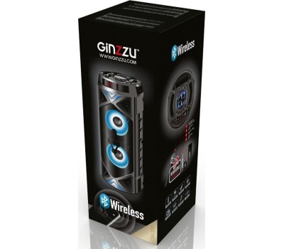 Мидисистема GINZZU GM-209