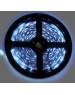 Лента светодиодная ECOLA P2LB05ESB 4,8W/m 12V IP20 8mm  синяя светодиодная лента на катушке 5м.