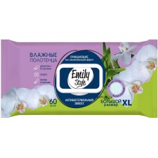 Салфетки влажные MASTER FRESH С0008180 Emily Style влажные полотенца ДЛЯ ВСЕЙ СЕМЬИ АНТИБАКТЕРИАЛЬНЫЕ с крышкой XL размер, соты 60