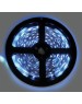 Лента светодиодная ECOLA P2LB05ESB 4,8W/m 12V IP20 8mm  синяя светодиодная лента на катушке 5м.