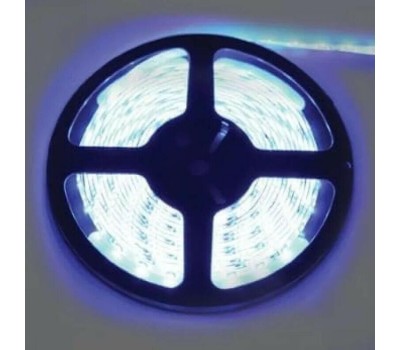 Лента светодиодная ECOLA P2LB05ESB 4,8W/m 12V IP20 8mm  синяя светодиодная лента на катушке 5м.