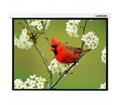 Экраны LUMIEN Экран Master Picture LMP-100136, 300х191 см, 16:10, настенно-потолочный