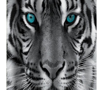 BRIMIX - Шторка в ванную комнату, фотопечать, ТИГР 02-20