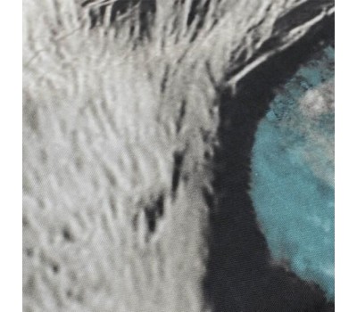 BRIMIX - Шторка в ванную комнату, фотопечать, ТИГР 02-20