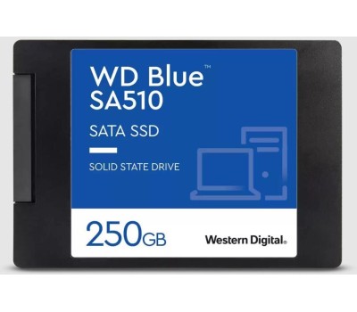 Жесткий диск WESTERN DIGITAL SSD жесткий диск SATA2.5 250GB BLUE SA510 WDS250G3B0A WDC