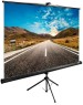 Экраны CACTUS Экран TriExpert CS-PSTE-220x220-BK, 220х220 см, 1:1, напольный черный