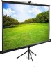 Экраны CACTUS Экран TriExpert CS-PSTE-220x220-BK, 220х220 см, 1:1, напольный черный