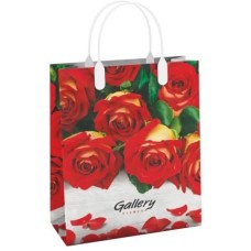 Пакет АРТПЛАСТ (ПОД44149) 23х27см Интерпак - Галерея