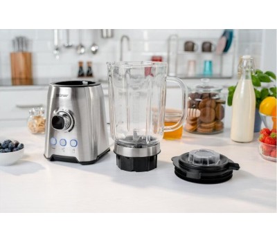 Блендер настольный ZELMER ZSB4799