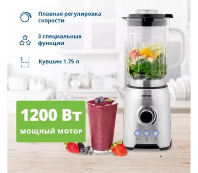 Блендер настольный ZELMER ZSB4799