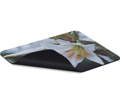 Коврик для мыши BURO BU-M20041 Мини рисунок/лилия 230x180x2мм