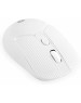 OKLICK Мышь 509MW white, оптическая, беспроводная, USB, белый [1885186]