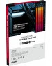 KINGSTON Оперативная память Fury Renegade XMP KF564C32RSAK2-48 DDR5 - 2x 24ГБ 6400МГц, DIMM, Ret