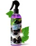 Ароматизатор воздуха CLEAN&GREEN Ароматизатор воздуха Soft 
