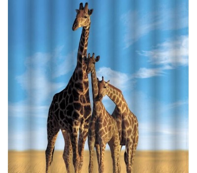 BRIMIX - Шторка в ванную комнату, фотопечать, ЖИРАФЫ 02-24