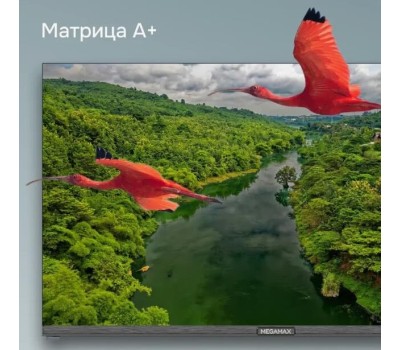 Телевизор MEGAMAX 32MG11H HD Безрамочный