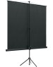 LUMIEN Экран Eco View LEV-100106, 153х153 см, 1:1, напольный