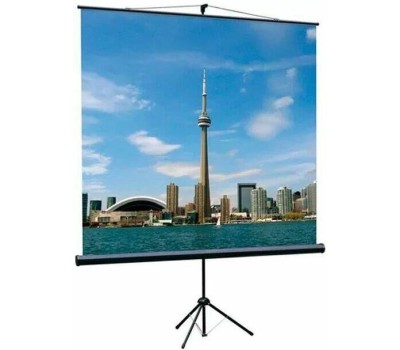 LUMIEN Экран Eco View LEV-100106, 153х153 см, 1:1, напольный