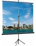 LUMIEN Экран Eco View LEV-100106, 153х153 см, 1:1, напольный