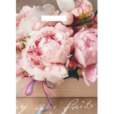 Пакет АРТПЛАСТ (ВУР49406) вырубная ручка 29х40 - Бенефис