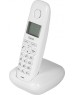 Радиотелефон GIGASET A170 White (S30852-H2802-S302)