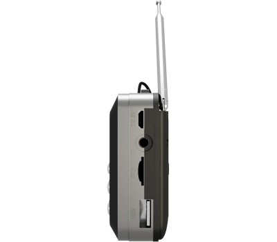 Радиоприемник SOUNDMAX SM-RD2116(чёрный)