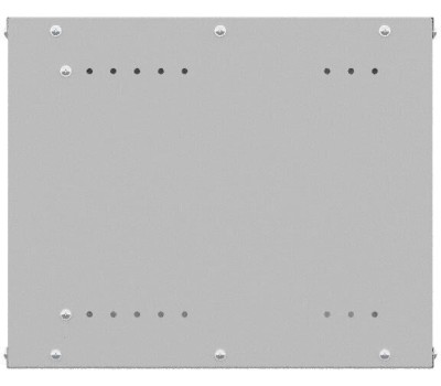 NTSS Шкаф коммутационный Lime -WL6U5560GS-BL настенный, стеклянная передняя дверь, 6U, 550x500x600 мм