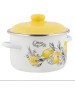 Кастрюля APPETITE 6RD181M CITRON эмал цил 3,0л