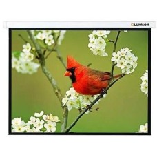 LUMIEN Экран 81