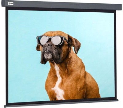 CACTUS Экран Wallscreen CS-PSW-168X299-SG, 299х168 см, 16:9, настенно-потолочный серый