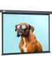 CACTUS Экран Wallscreen CS-PSW-168X299-SG, 299х168 см, 16:9, настенно-потолочный серый